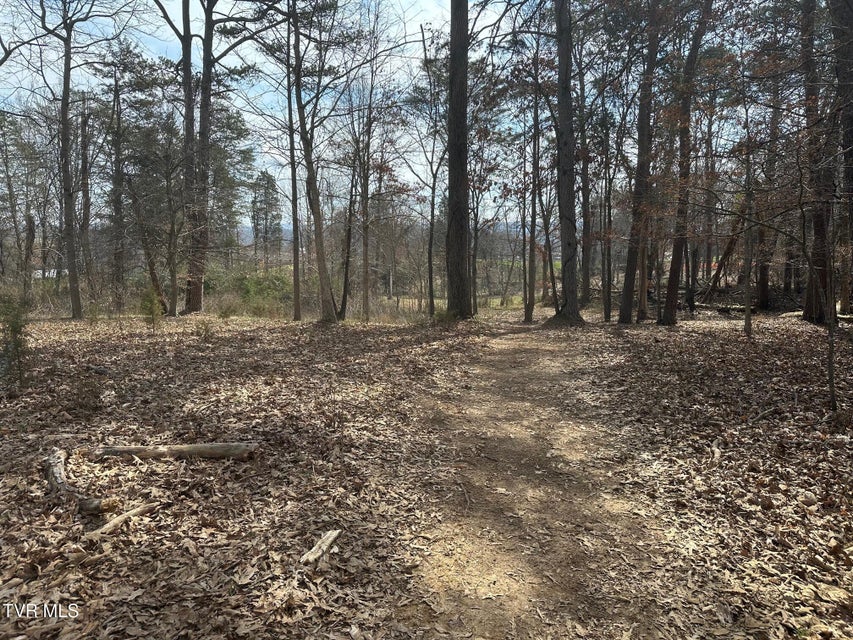 Photo #4: Tbd Honeysuckle Avenue