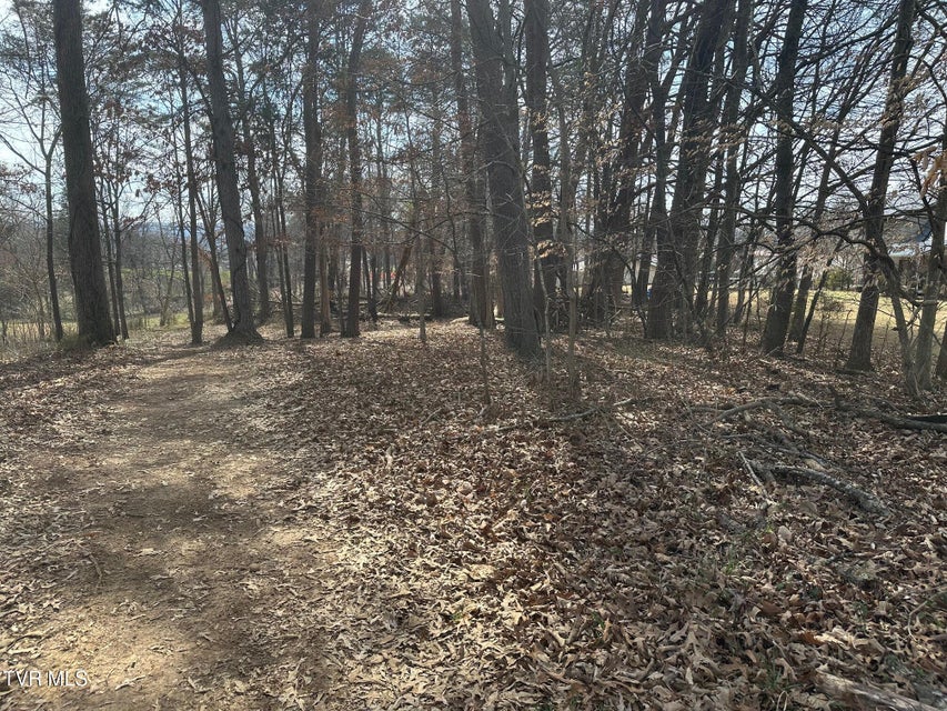 Photo #5: Tbd Honeysuckle Avenue