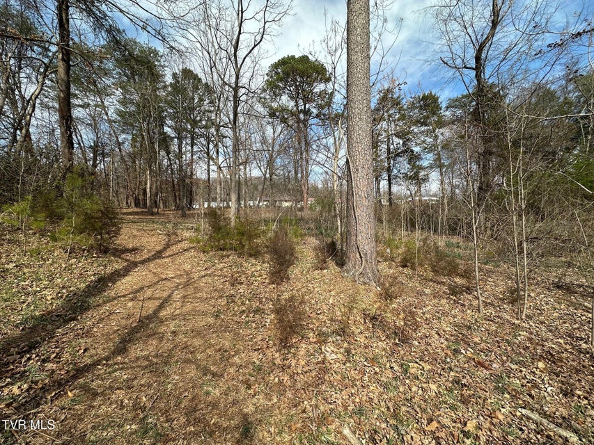 Photo #6: Tbd Honeysuckle Avenue