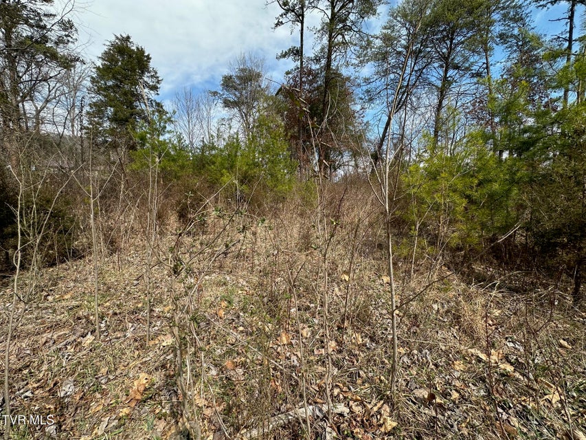 Photo #7: Tbd Honeysuckle Avenue