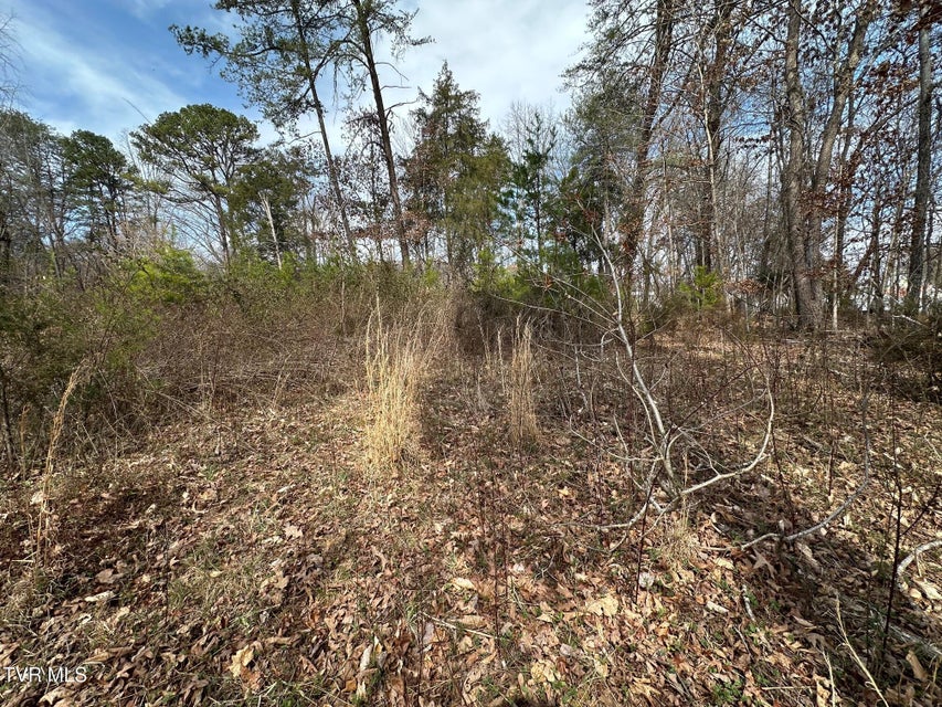 Photo #8: Tbd Honeysuckle Avenue