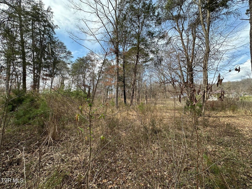 Photo #10: Tbd Honeysuckle Avenue