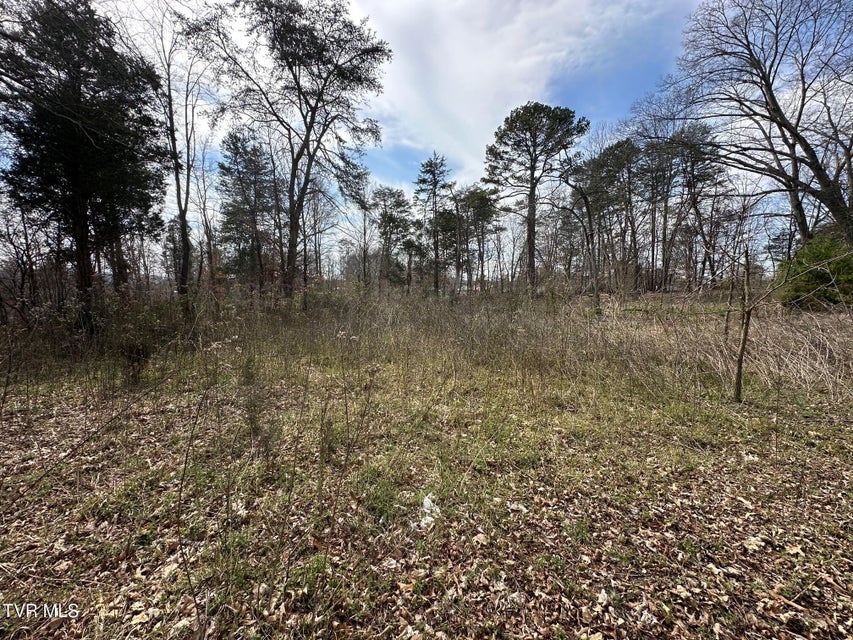 Photo #11: Tbd Honeysuckle Avenue