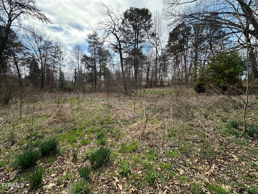 Photo #12: Tbd Honeysuckle Avenue