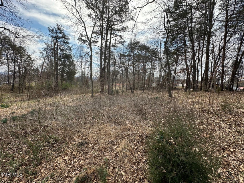 Photo #13: Tbd Honeysuckle Avenue