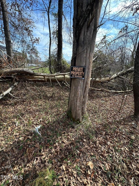 Photo #9: Tbd Honeysuckle Avenue