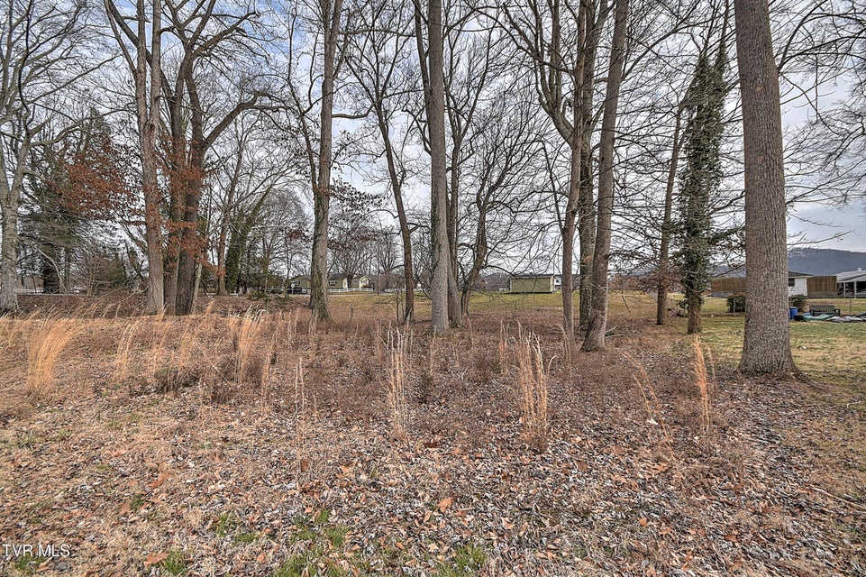 Photo #22: Tbd Pamela Court