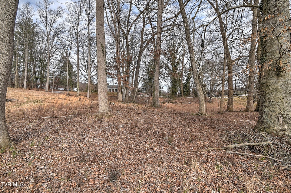 Photo #23: Tbd Pamela Court