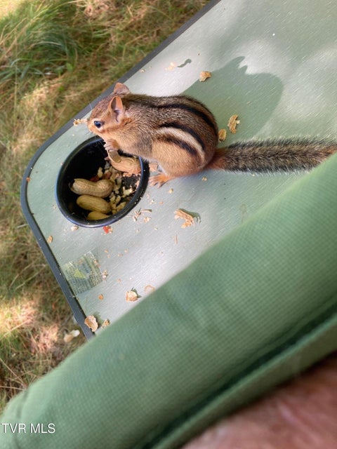 Photo #40: 1527 Edgemont Avenue