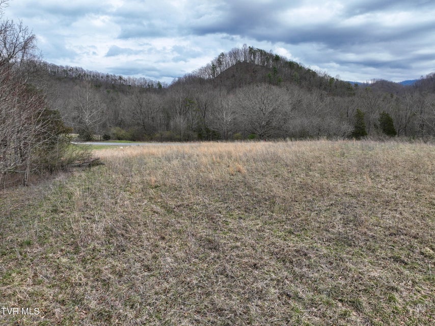 Photo #17: Lot 38 Lake Pointe Drive