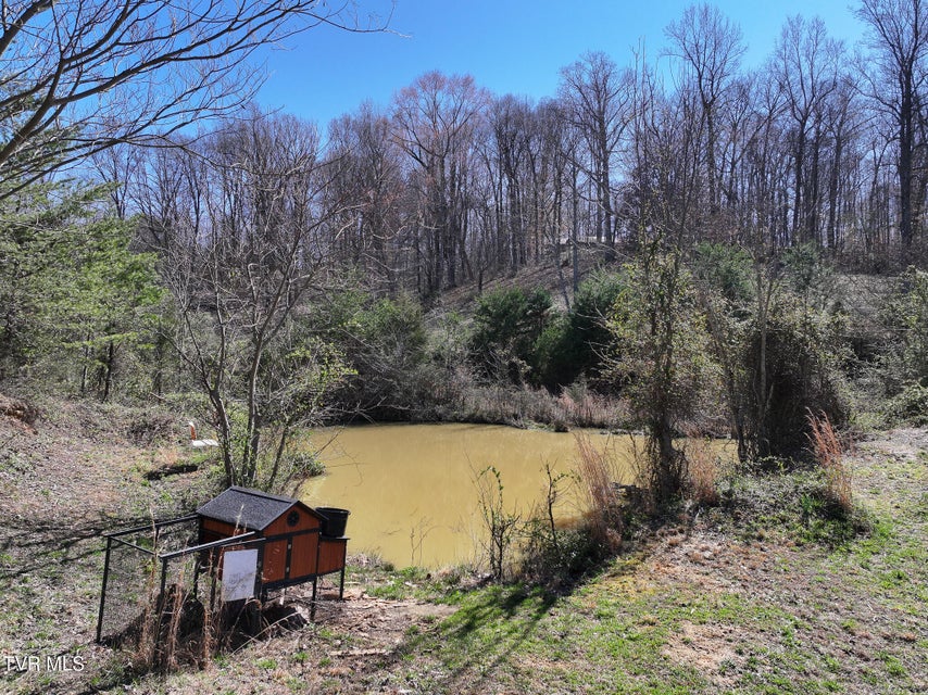 Photo #20: 5020 Kingsport Highway