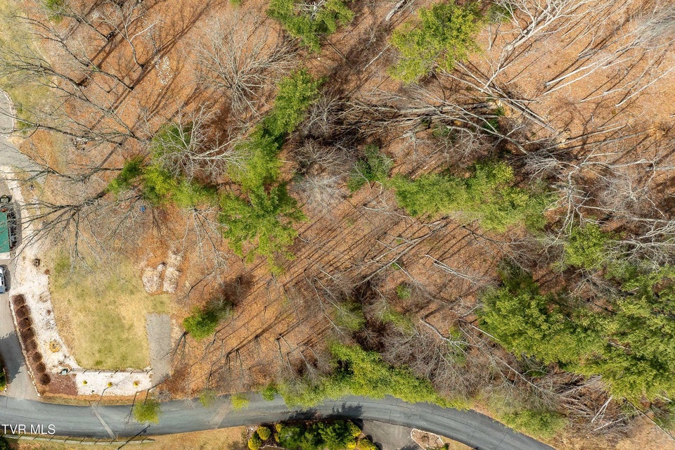 Photo #2: Lot 4 Of Forge Creek Road