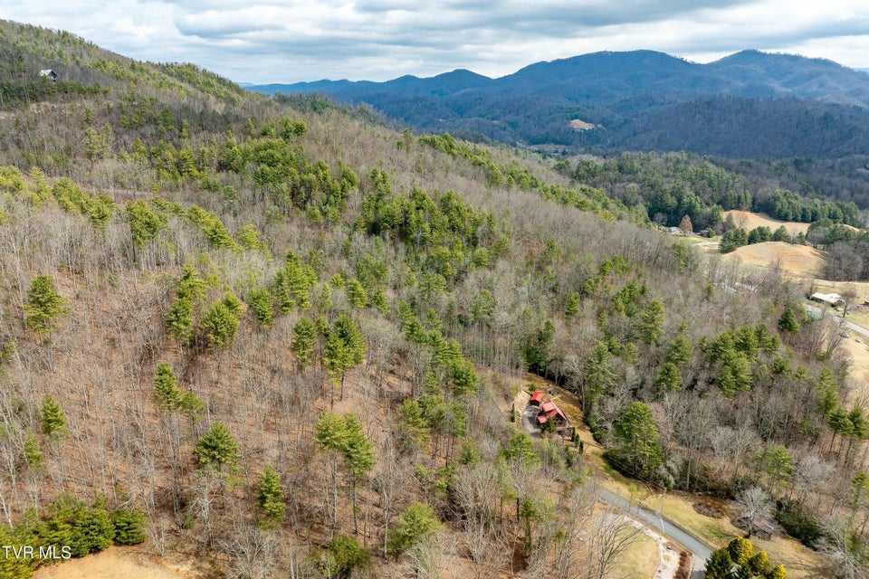 Photo #11: Lot 4 Of Forge Creek Road