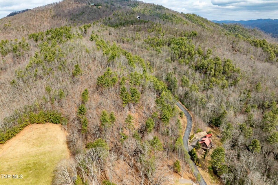 Photo #12: Lot 4 Of Forge Creek Road