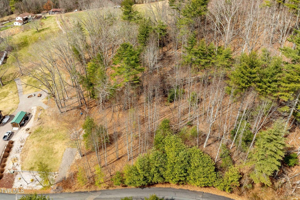 Photo #15: Lot 4 Of Forge Creek Road