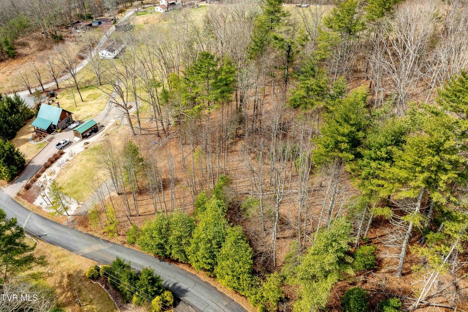 Photo #16: Lot 4 Of Forge Creek Road