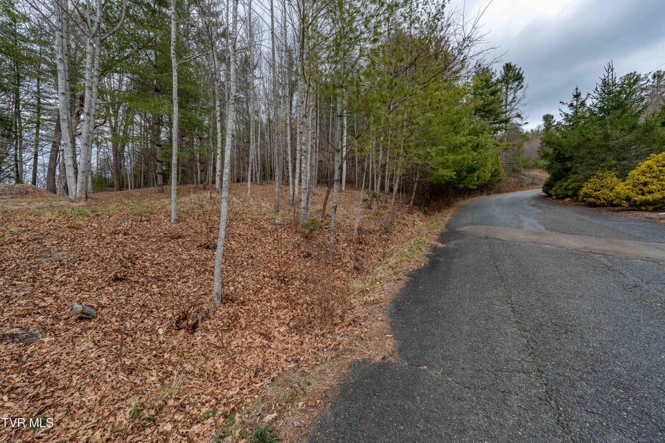 Photo #17: Lot 4 Of Forge Creek Road