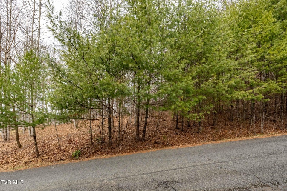 Photo #18: Lot 4 Of Forge Creek Road