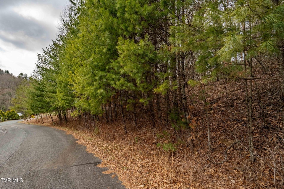 Photo #20: Lot 4 Of Forge Creek Road