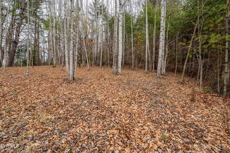 Photo #22: Lot 4 Of Forge Creek Road