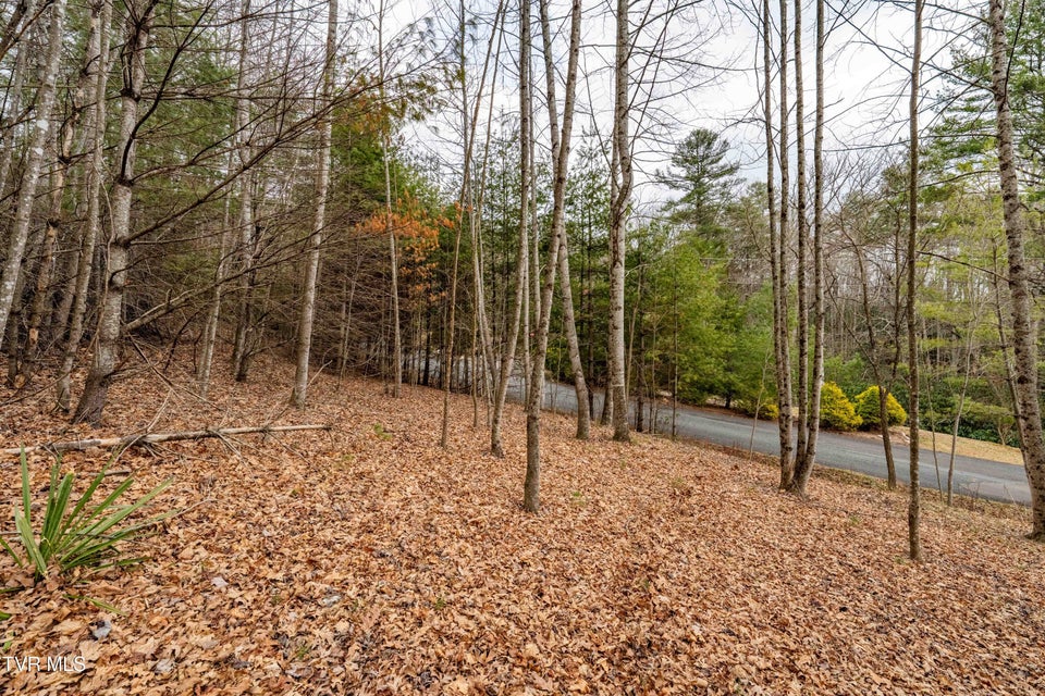 Photo #23: Lot 4 Of Forge Creek Road