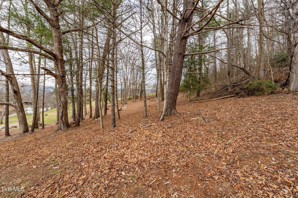 Photo #24: Lot 4 Of Forge Creek Road