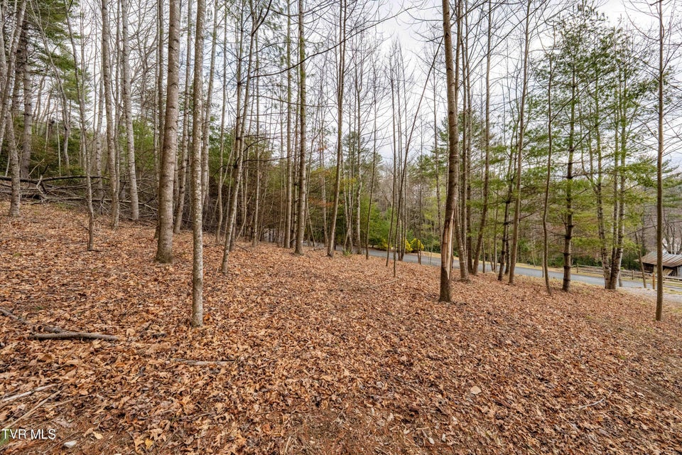 Photo #25: Lot 4 Of Forge Creek Road