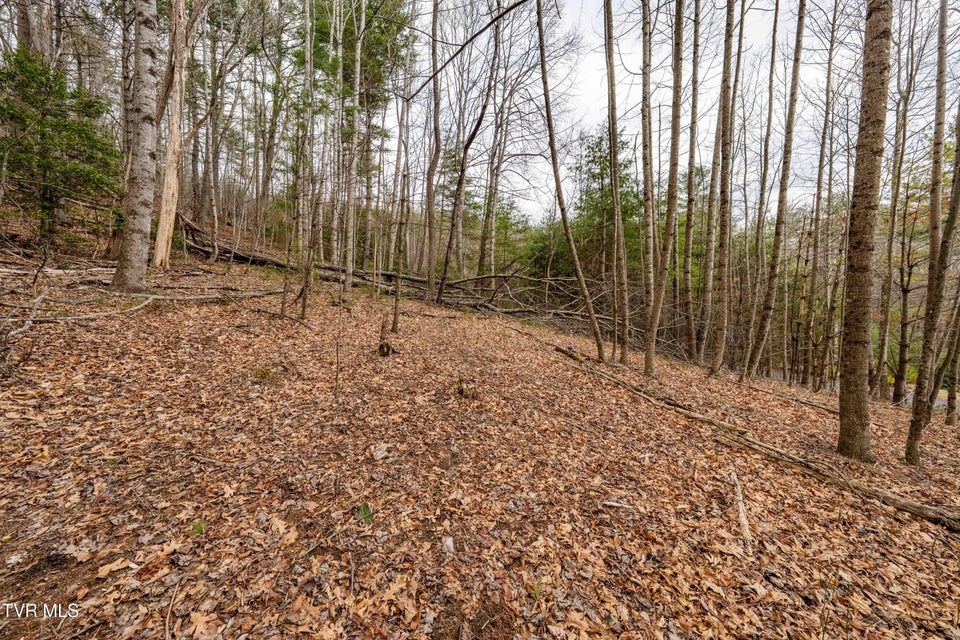 Photo #26: Lot 4 Of Forge Creek Road