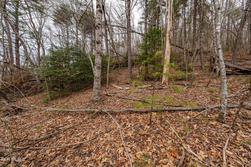 Photo #27: Lot 4 Of Forge Creek Road