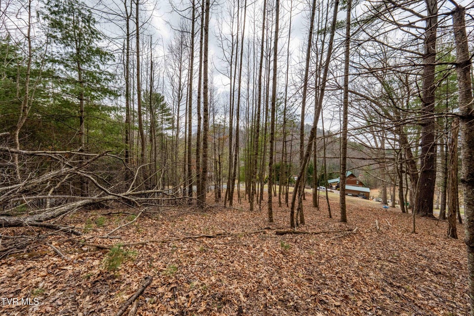 Photo #28: Lot 4 Of Forge Creek Road