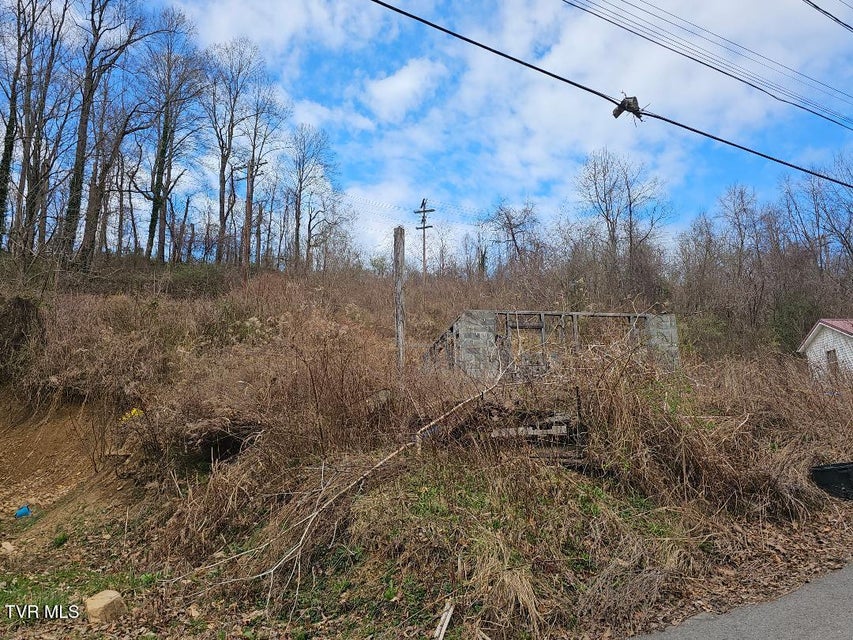 Photo #4: 307 11th Street