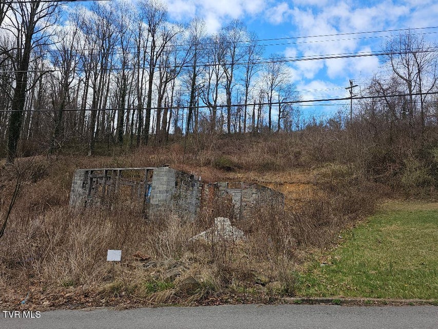 Photo #5: 307 11th Street