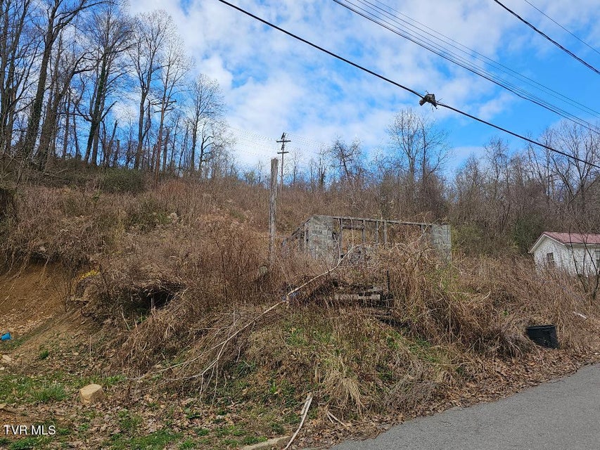 Photo #7: 307 11th Street