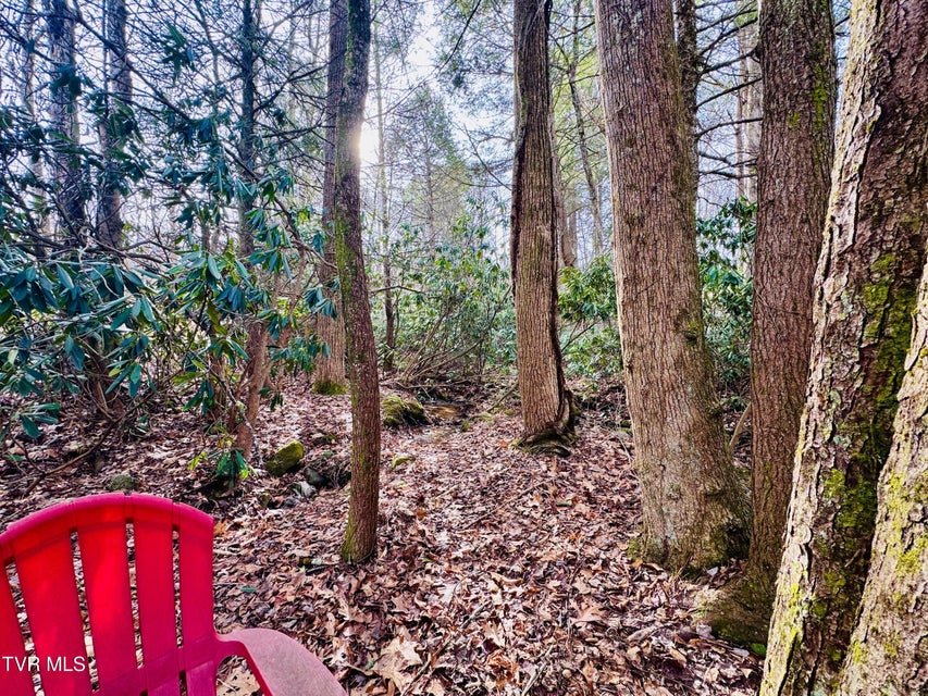 Photo #17: 391 Hopper Road