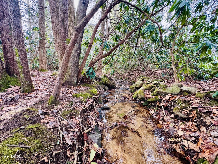 Photo #18: 391 Hopper Road