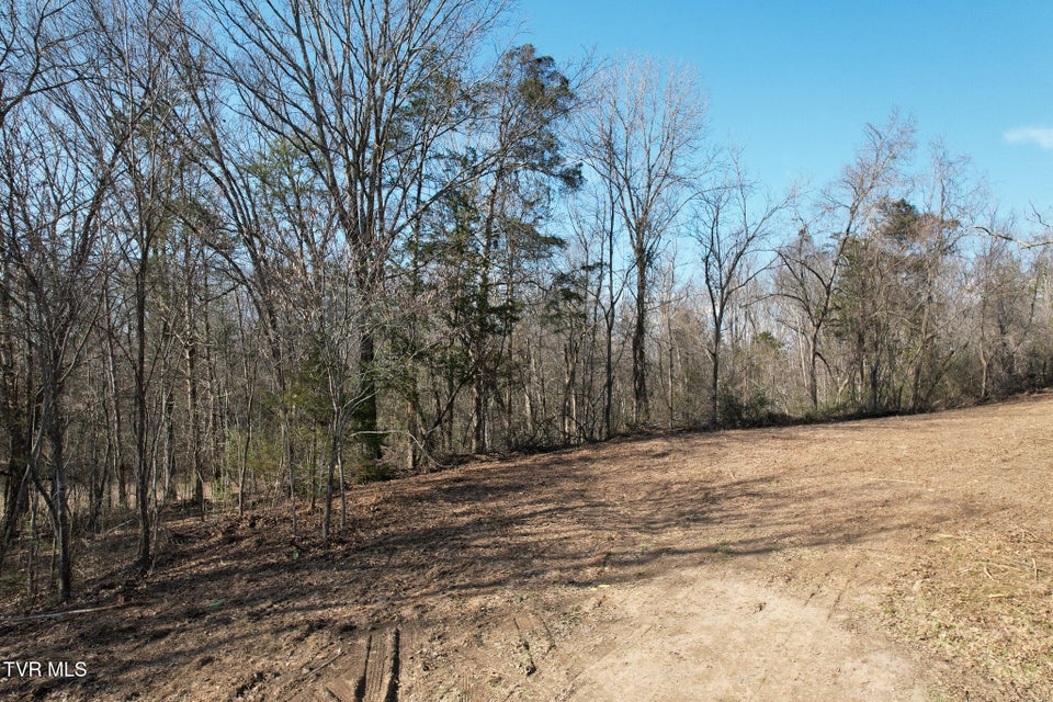 Photo #7: Tbd Peppermint Lane