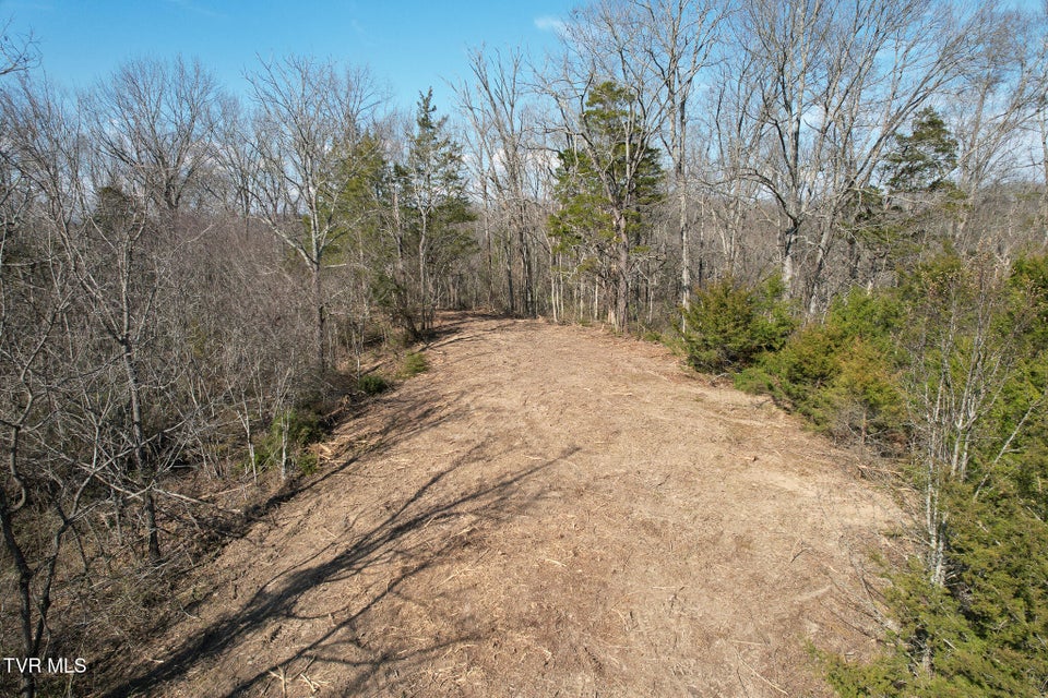 Photo #10: Tbd Peppermint Lane