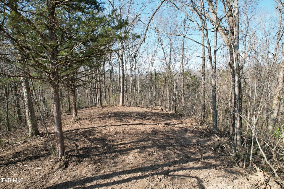 Photo #11: Tbd Peppermint Lane