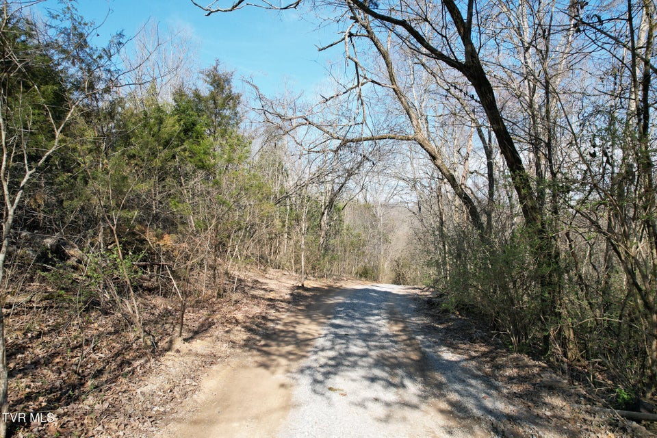 Photo #12: Tbd Peppermint Lane
