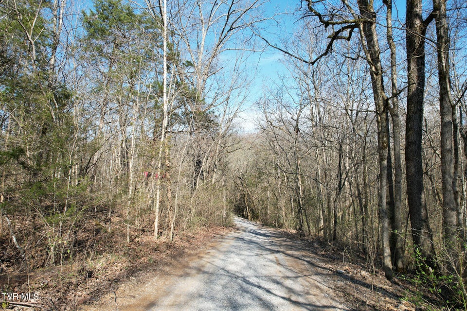 Photo #13: Tbd Peppermint Lane