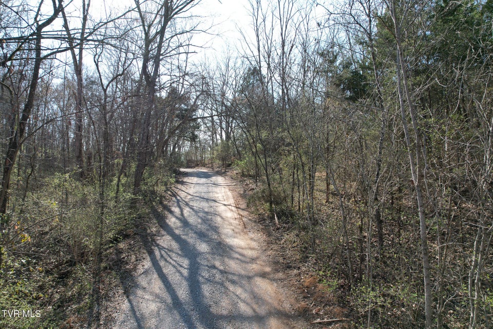 Photo #14: Tbd Peppermint Lane