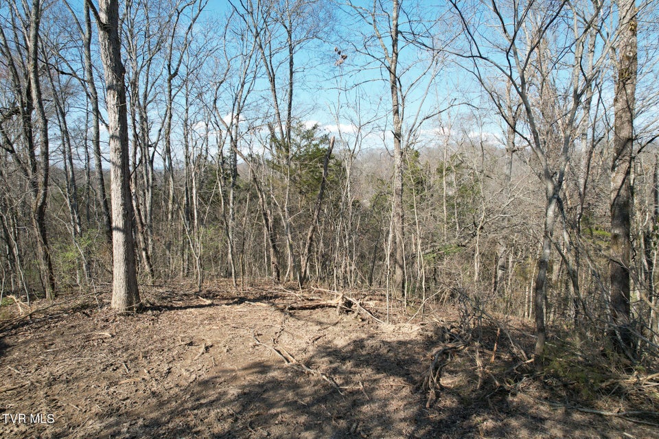 Photo #16: Tbd Peppermint Lane