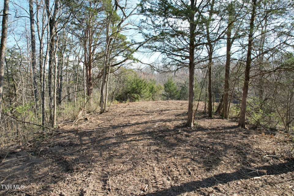 Photo #17: Tbd Peppermint Lane