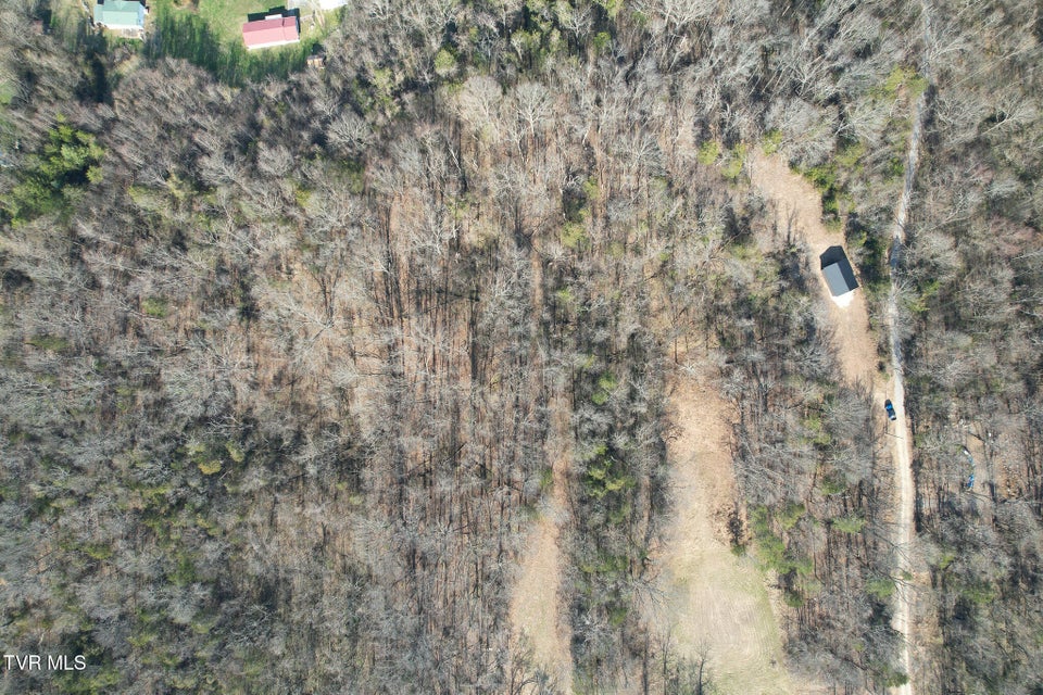 Photo #18: Tbd Peppermint Lane