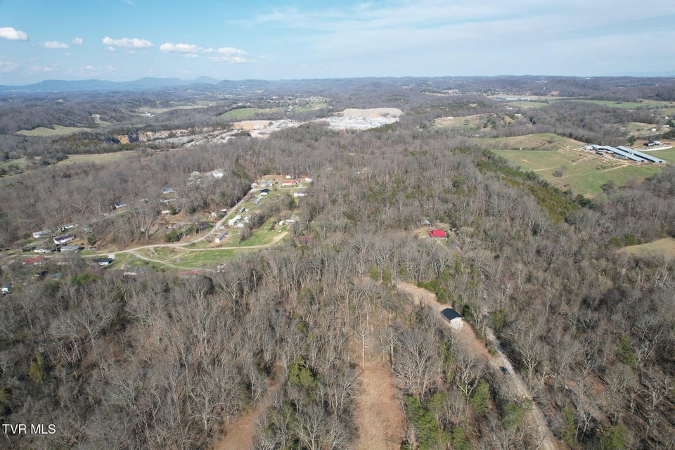 Photo #19: Tbd Peppermint Lane