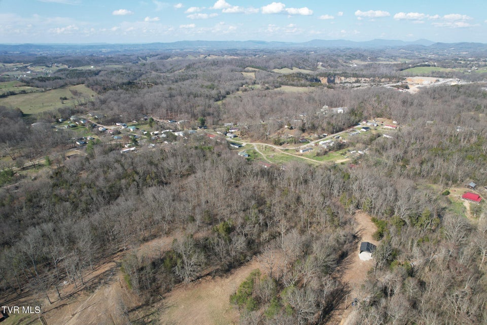 Photo #20: Tbd Peppermint Lane