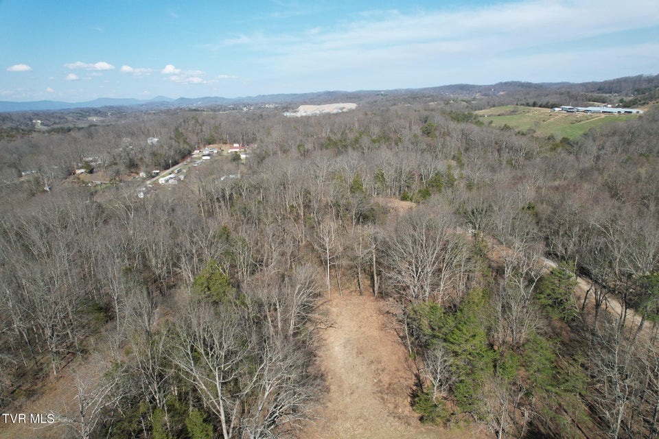 Photo #26: Tbd Peppermint Lane