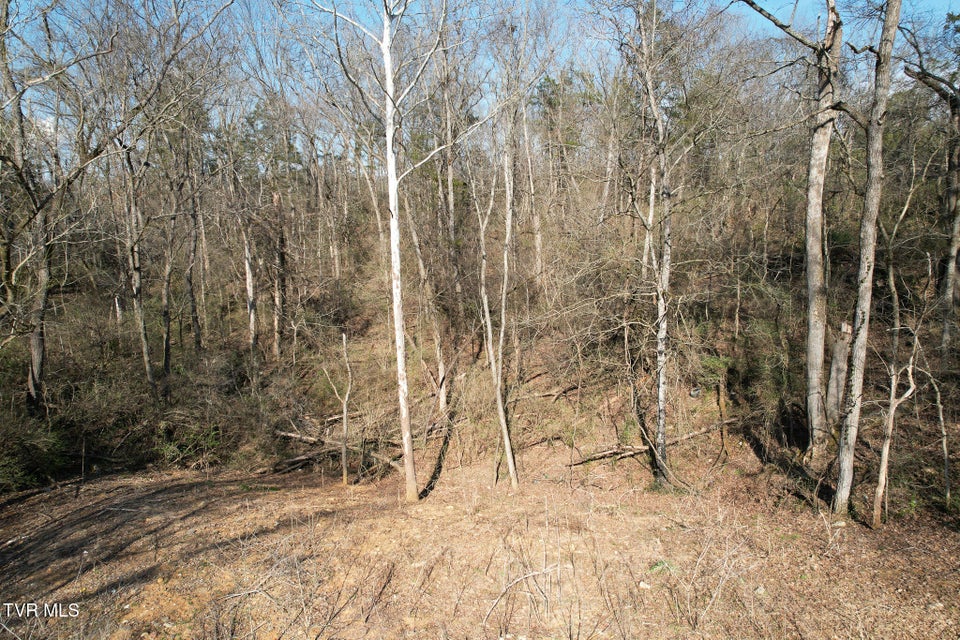 Photo #27: Tbd Peppermint Lane