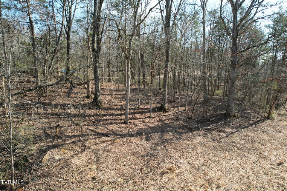 Photo #28: Tbd Peppermint Lane