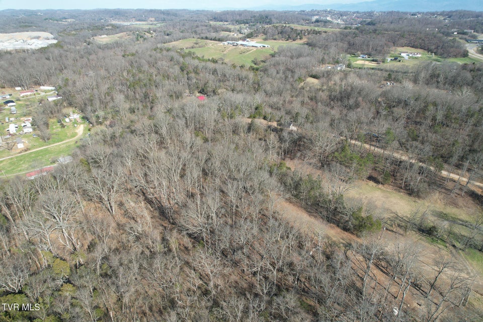 Photo #33: Tbd Peppermint Lane